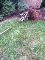 IMG_4040.jpg IMG_4040.jpg