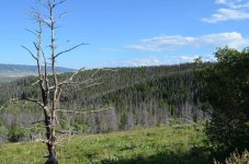 Medicine Bow44.jpg