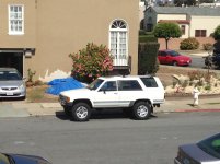 IMG_3145.jpg