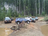 IMG_7357.jpg