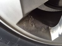 4runner2.jpg