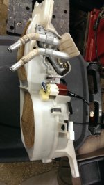 IMAG0212.jpg