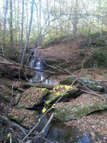 IMG_4137.jpg