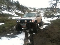 IMG_2274.jpg