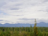 IMGP0019.jpg