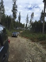 IMG_7008.jpg IMG_7008.jpg