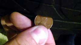Penny 2.jpg Penny 2.jpg