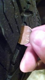 Penny 3.jpg Penny 3.jpg