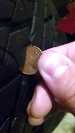Penny 4.jpg Penny 4.jpg