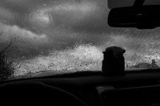 09-SN16-WaitingOutTheRain.jpg 09-SN16-WaitingOutTheRain.jpg