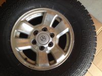TR43.jpg