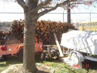 Harvesting Firewood, Cutting, splitting & Stacking, 2-26-09.jpg
