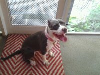 20140702_192836.jpg