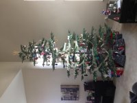 IMG_1576.jpg