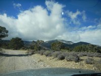 DSCN2077.jpg