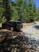 IMG_1949.jpg IMG_1949.jpg