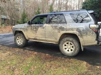 IMG_0175.jpg