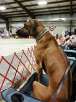 Ember 20140706 in chair.jpg