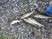 2014-07-03 Fishing Trip.jpg