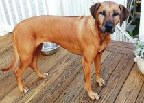 Mika 20130701 9 yrs.jpg