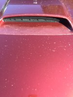 IMG_4702.JPG IMG_4702.JPG
