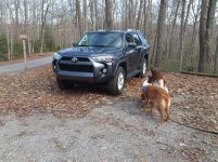 DSC_0681.jpg