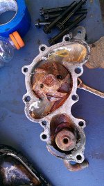 IMAG0911.jpg