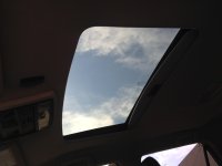 IMG_1295.jpg