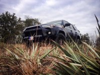 TRD1.jpg