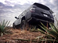 TRD2.jpg