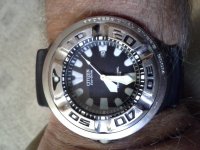 Seiko Dive.jpg