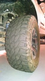 IMG_20140911_200345482.jpg