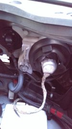 headlights.jpg