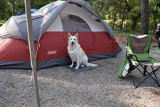 DSC_0035.jpg