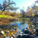 mill creek 1.jpg