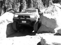Brewer 36 (2).jpg