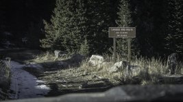 CO_NOV5_2014-2.jpg