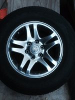 photo 6.JPG