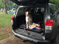 piper-car.jpg