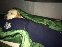 IMG_0072.jpg