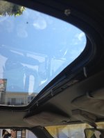 IMG_2983.jpg