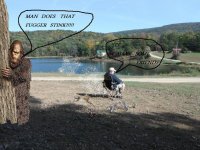 cove5.jpg