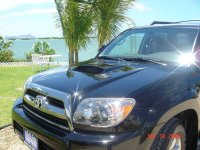 dsc00524.jpg