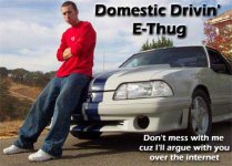 domesticethug2222222.jpg