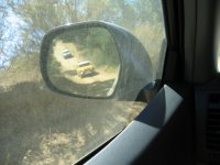 img_2981.jpg