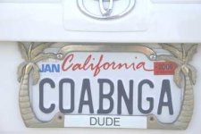 plate.jpg