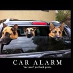 GermanShepherdCarAlarmAprilCollier.jpg