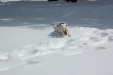 DSC_8709.jpg