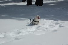 DSC_8710.jpg