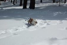 DSC_8711.jpg